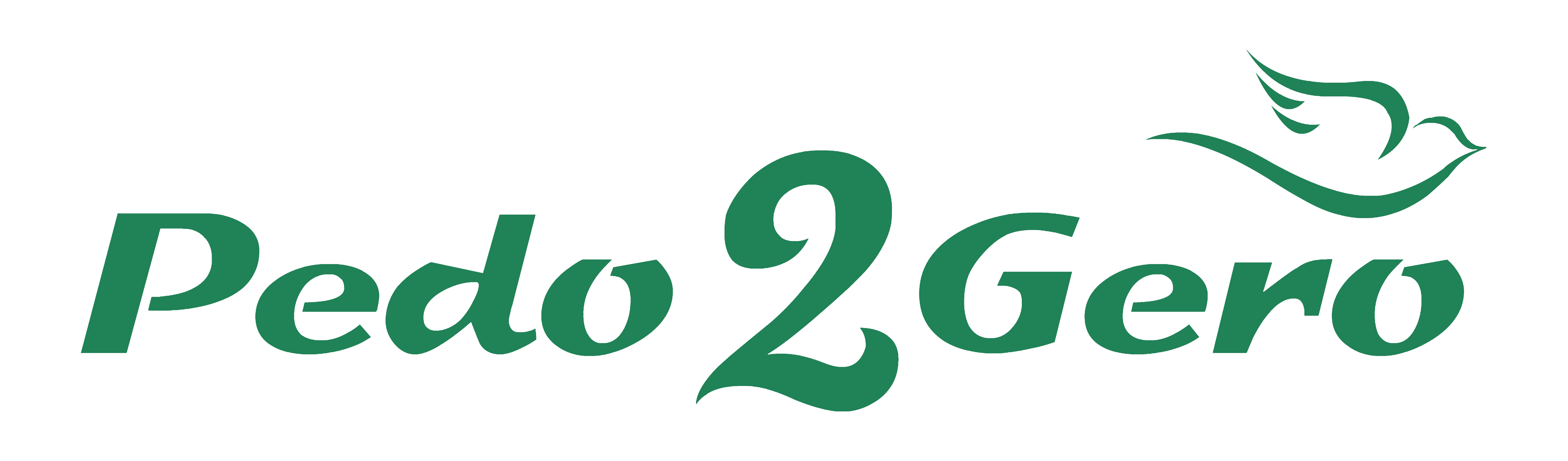 Pedo2Gero Physiotherapy Clinic